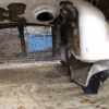 .  Hood(s), Kenworth, 3 available, $950 each, F#H621 - Image 28