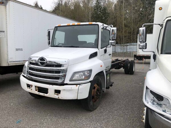 .  Hino 338, 2019, 7.6, cab & chassis, N#4526