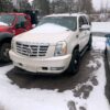 .  Cadillac Escalade, white, N#CADI