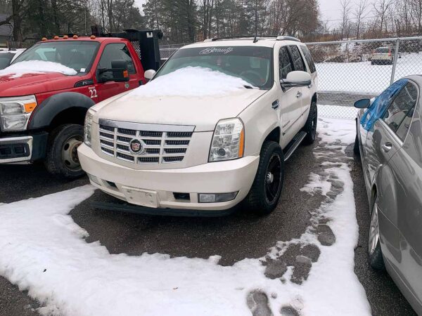 .  Cadillac Escalade, white, N#CADI