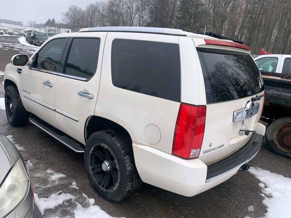 .  Cadillac Escalade, white, N#CADI - Image 7