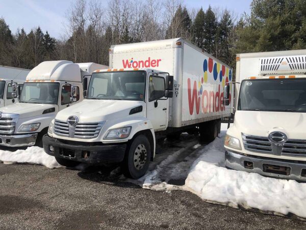 .  Hino 338, 2008, 7.6L, MT-AB, 24ft Box, 90in Door, N#51239 - Image 18