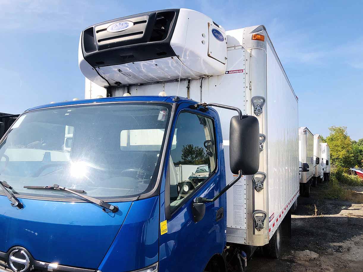 . Hino 195, 2018, 5.1L, AT-HB, blue, 16ft Reefer, 74in +S D, Carrier Supra 560, r, F#0635 - Image 21